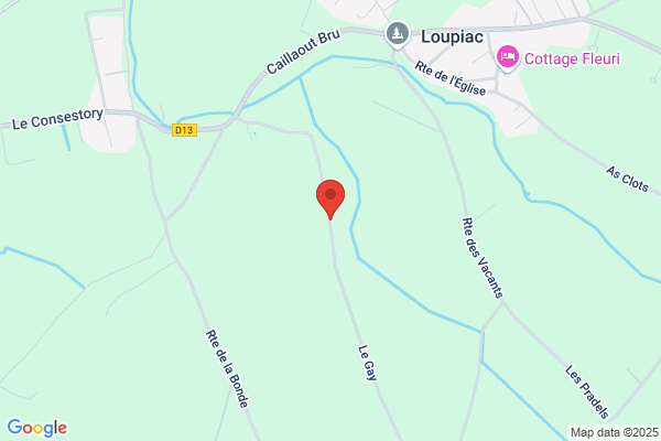 Soubies Borau j. M.