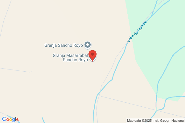 Agropecuaria Sancho Grau S. L. (Compra-Venta De Ganado vacuno)