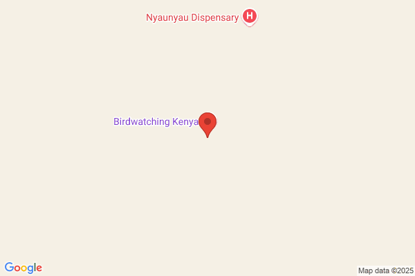 Baringo Jordan e.