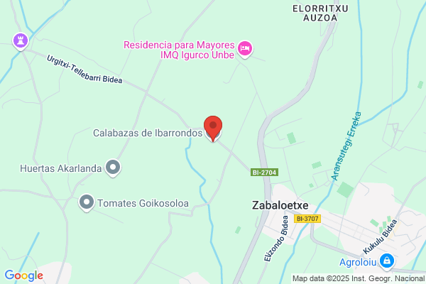 Ibarrondo Abad i.