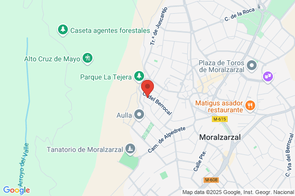 Técnica Y Maestría S.L.