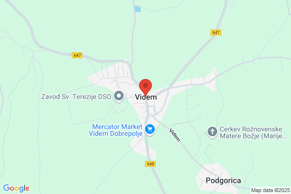 Videm S.A.