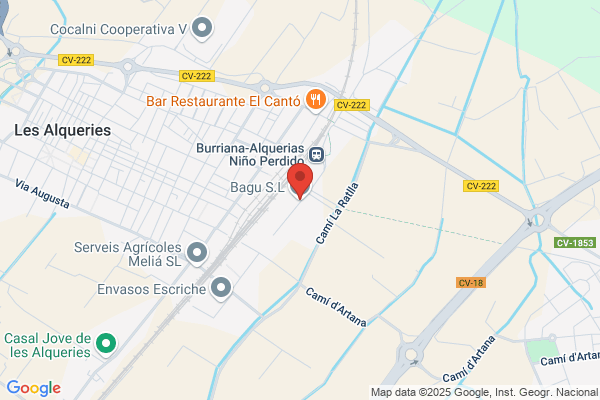 Bagu S. A.