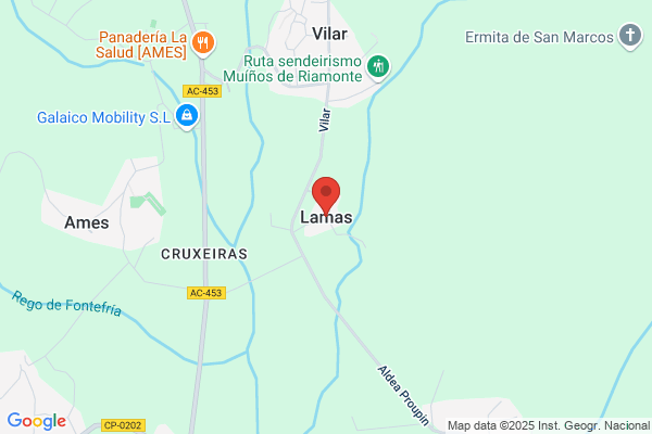 Marcos Lamas m.