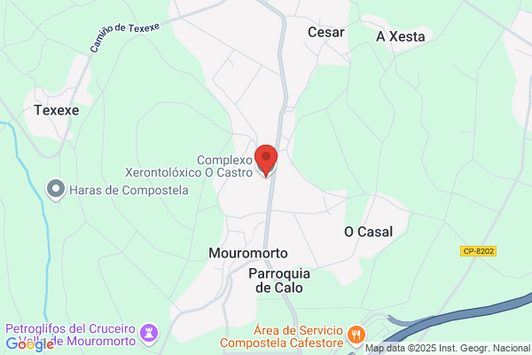 Complexo Xerontolóxico O Castro