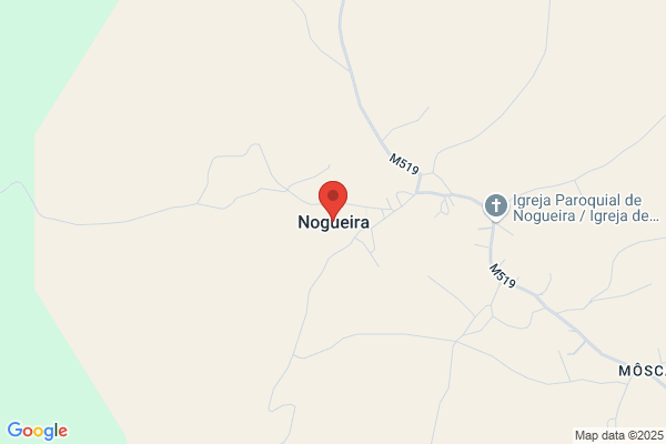 Nogueira Gens c.