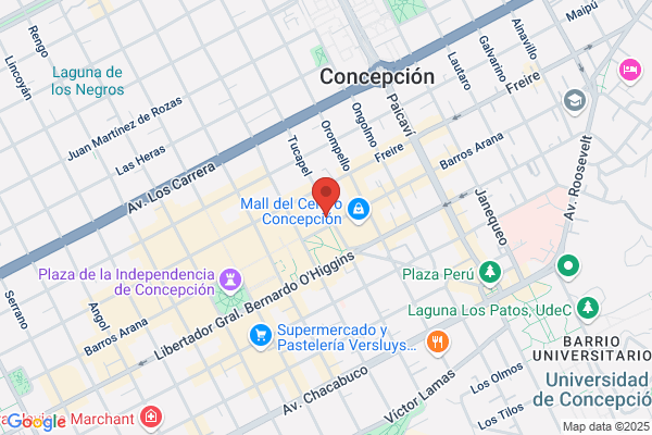 Concepcion Pacheco j.