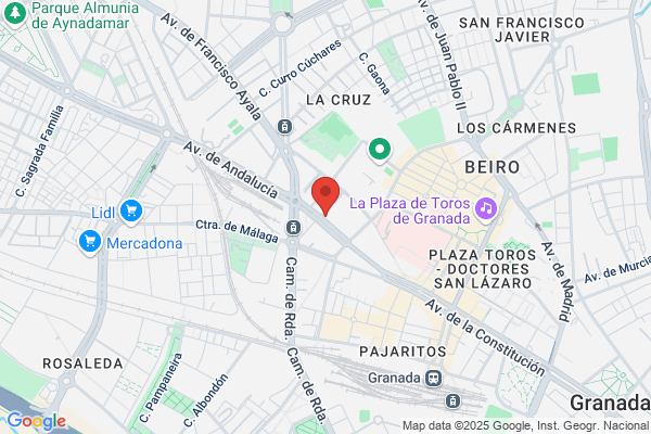 Bar Avenida