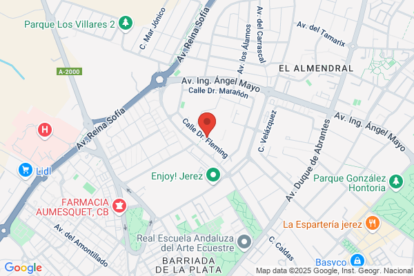 Servicio Andaluz De Salud