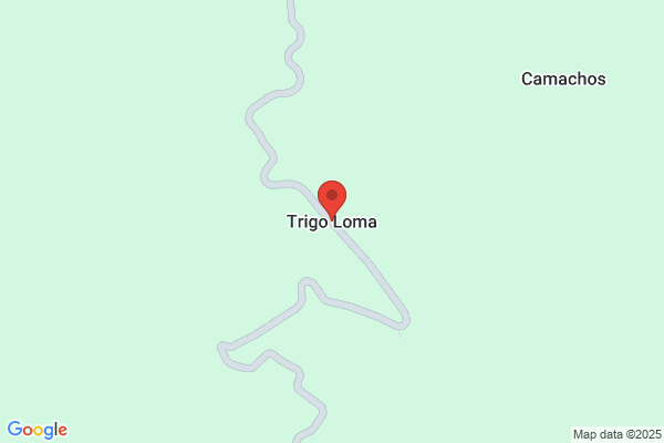 Trigo Loma a.