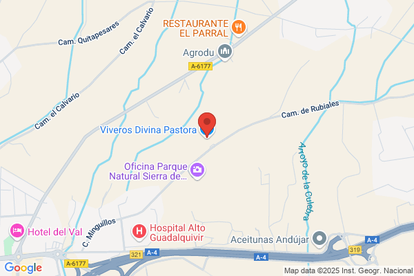 Viveros Divina Pastora