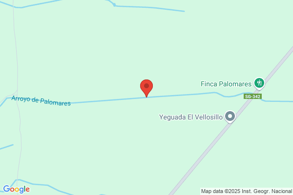Arroyo Palomares l.