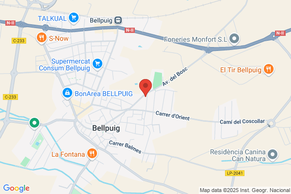 Gestió i Serveis Funeraris Bellpuig