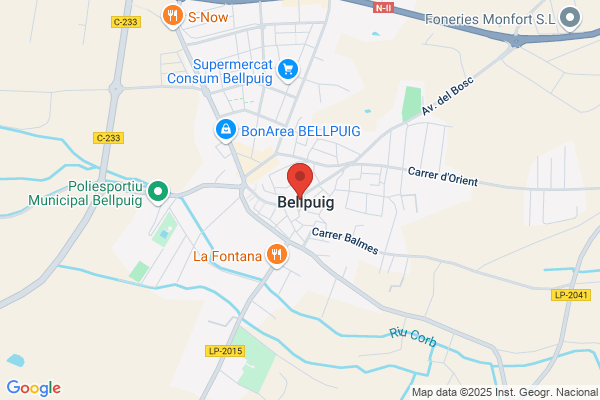 Ayuntamiento De Bellpuig. Escuelas