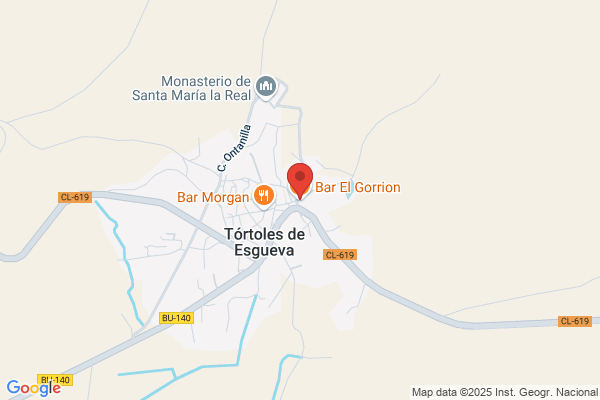 Bar Tortoles