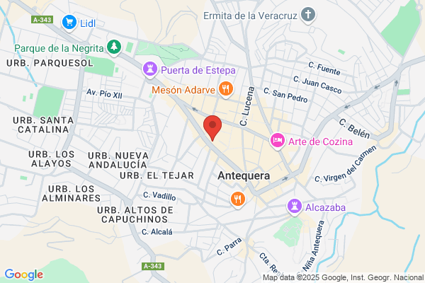 Villalon Conejo m.
