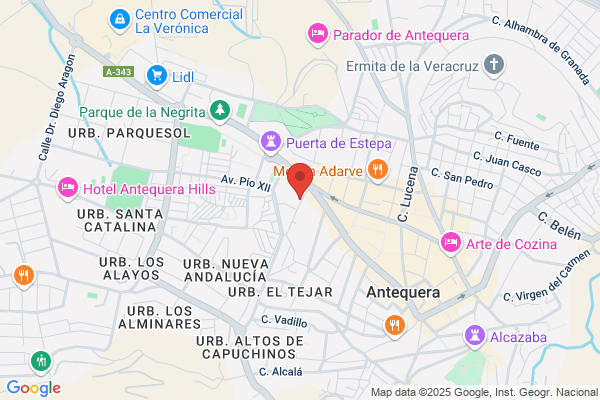 Vilches Aguilar m.