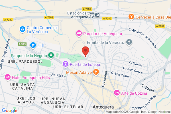 Transportes Alsina Graells Sur S.A.