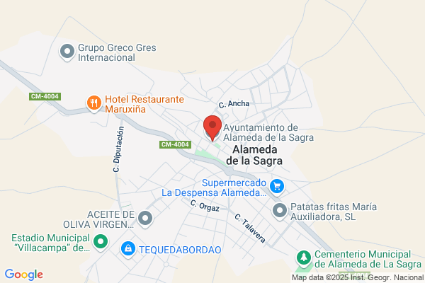 Ayuntamiento De Alameda De La Sagra