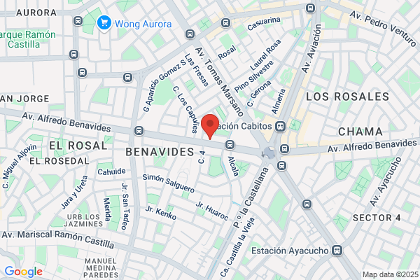 Sanchez Benavides j. A.