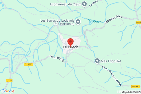 Puech n.