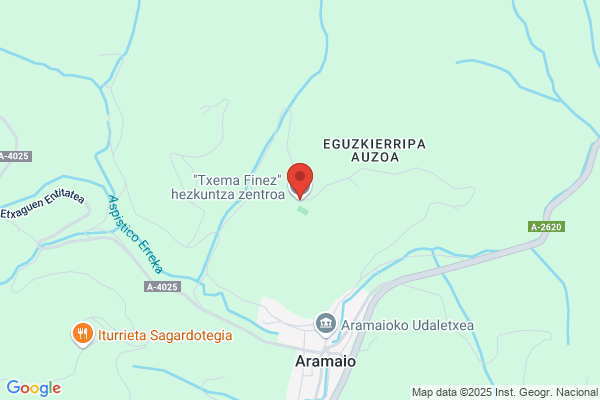 Alonso Allende m. P.