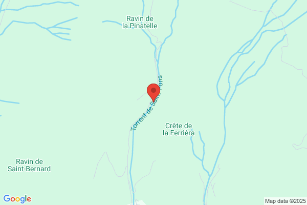 Pons Torrent j.