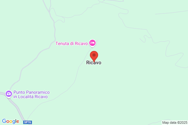 Ricavi S.A.