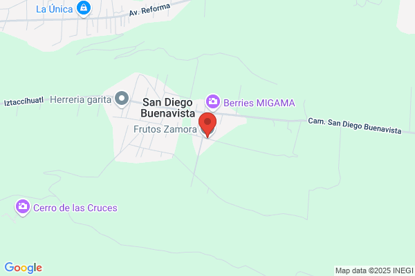 Zamora Frutos d.