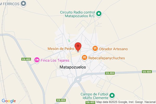 Meson Pedro