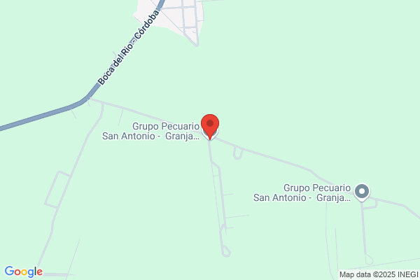 Granja Boca Del Rio S. A.