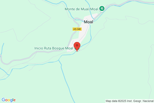Muñoz Bosque a.