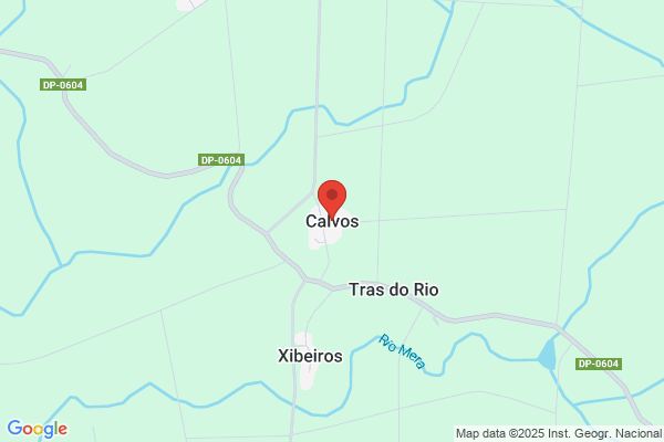 Calvo Buyo p.