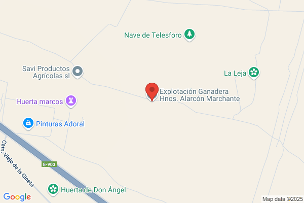 Hermanos Peinado Almarcha S.L.