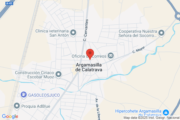 Castellanos Arevalo s.
