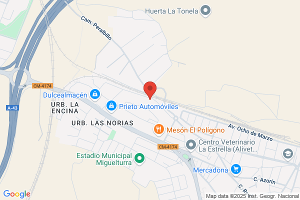 Diversiones Manchegas S.L.