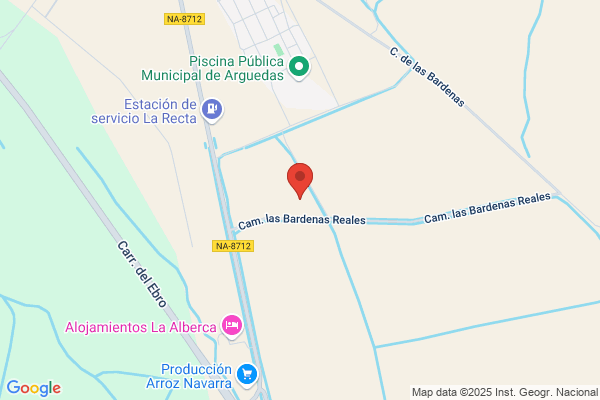 Iñiguez Delmas j. Y Otro S.Cv
