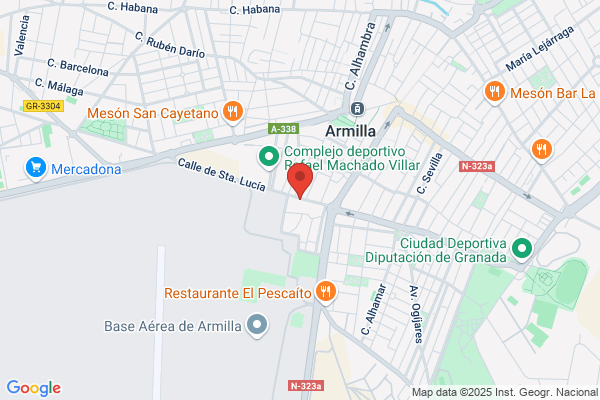 Restaurante Pizzeria Vesubio (Servicio A Domicilio)