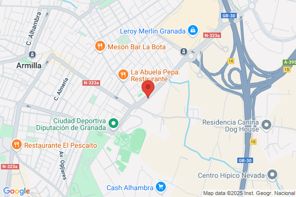 CastiLa, Instituto Internacional