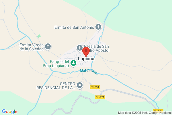 Hidroelectrica Nuestra Señora De La Soledad De tendilla y Lupiana S.L.