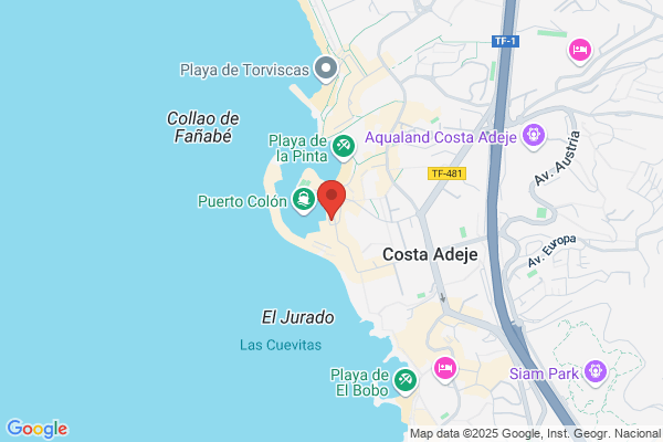 Freebird One | Avistamiento de Ballenas en Tenerife | Whale watching Tenerife