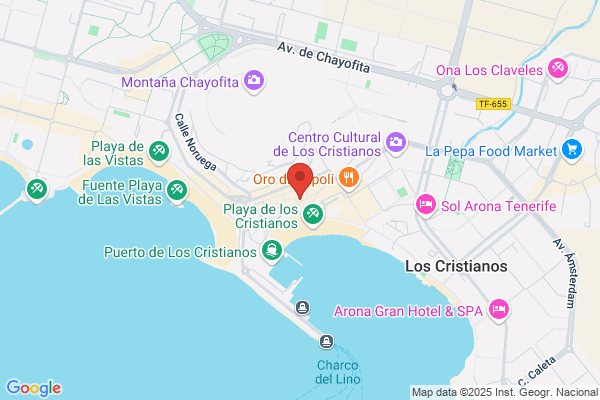 Telecominicaciones Y Servicios Informaticos De Canarias S.A.