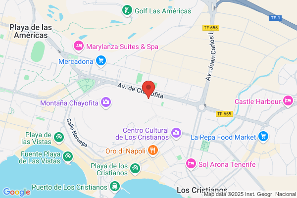Telecomunicaciones Y Servicios Informaticos De Canarias S.L.