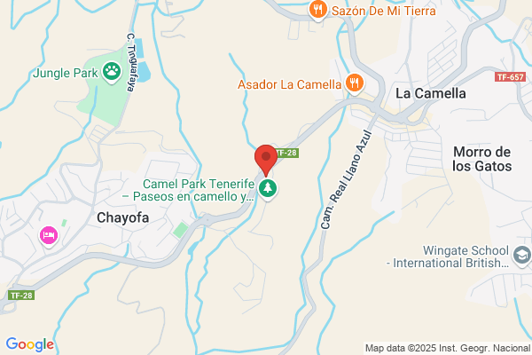 Estacion De Servicio Cepsa