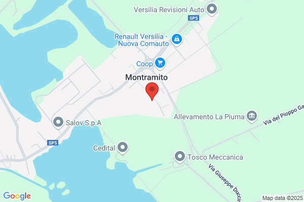 Maggini guliano