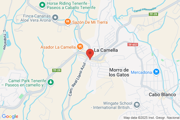 Bonita tenerife
