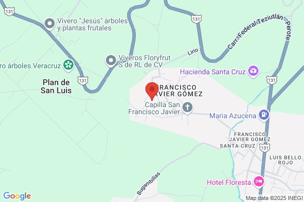 Francisco Javier Gomez Mira