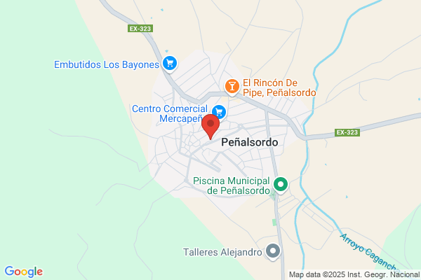 Castro Pizarro j. C.