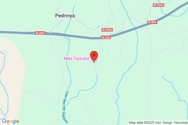 Purti Teixidor j.