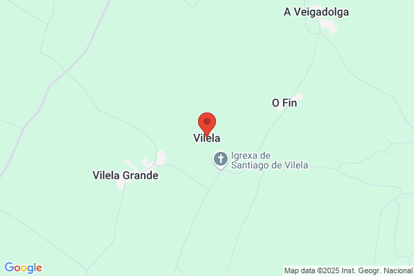 Vilela Camino m.